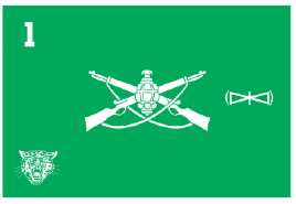 Bandeira insígnia