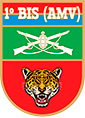 1º Batalhão de Infantaria de Selva (Amv)